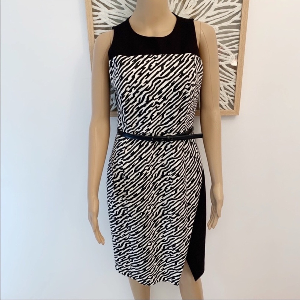 Chic Zebra Print Midi Dress